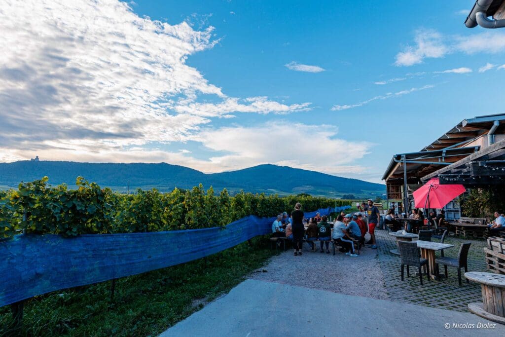 Domaine Achillee DR Nicolas Diolez 2024 17