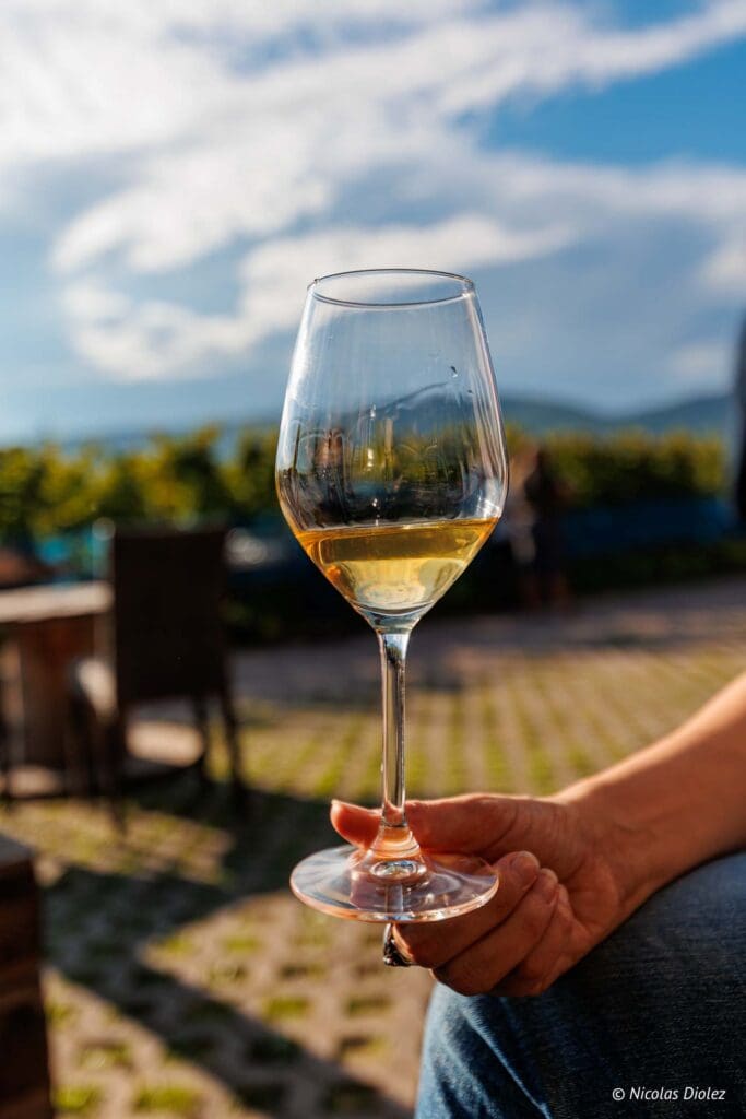 Domaine Achillee DR Nicolas Diolez 2024 8