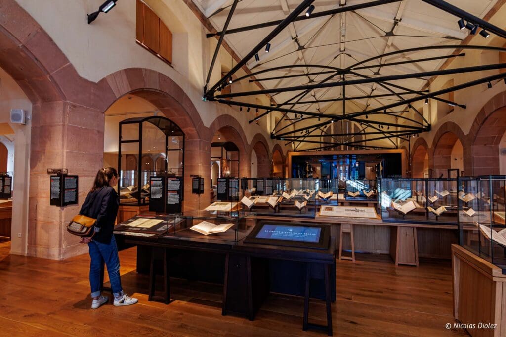 Musee humanisme Selestat DR Nicolas Diolez 2024 2