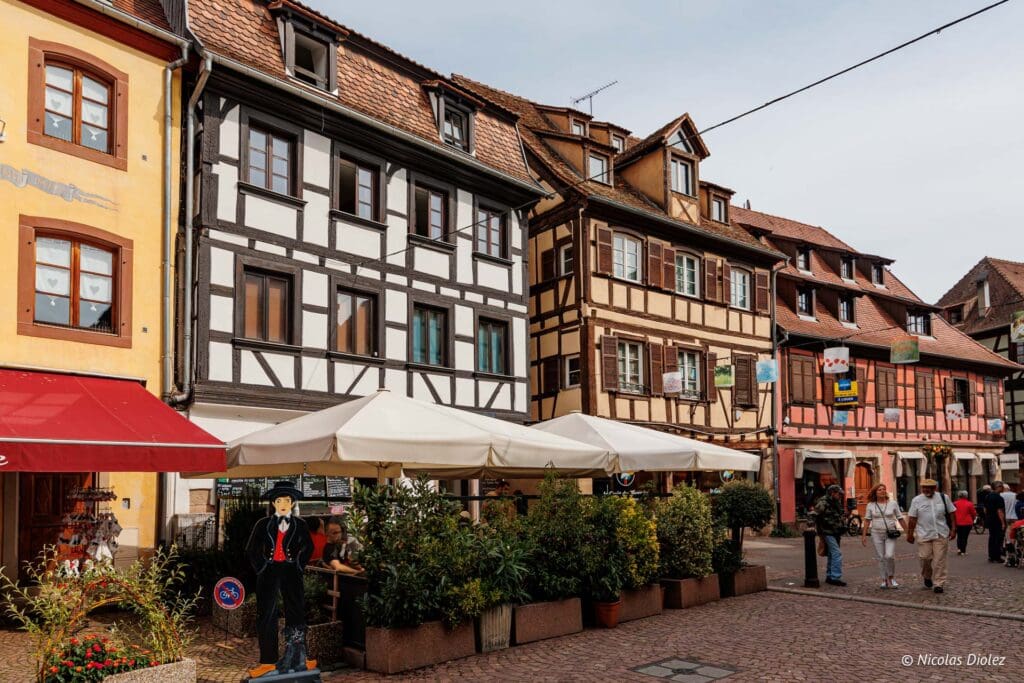 Obernai DR Nicolas Diolez 2024 10