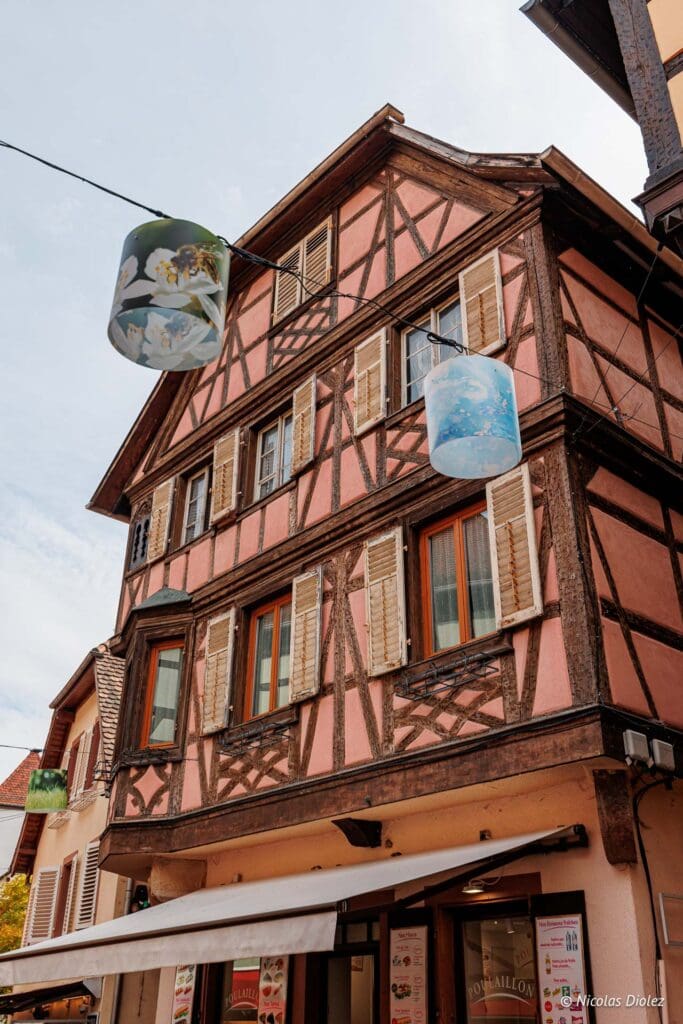 Obernai DR Nicolas Diolez 2024 16