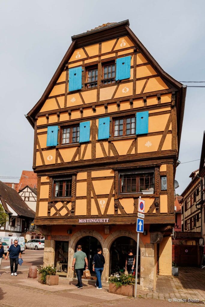 Obernai DR Nicolas Diolez 2024 2