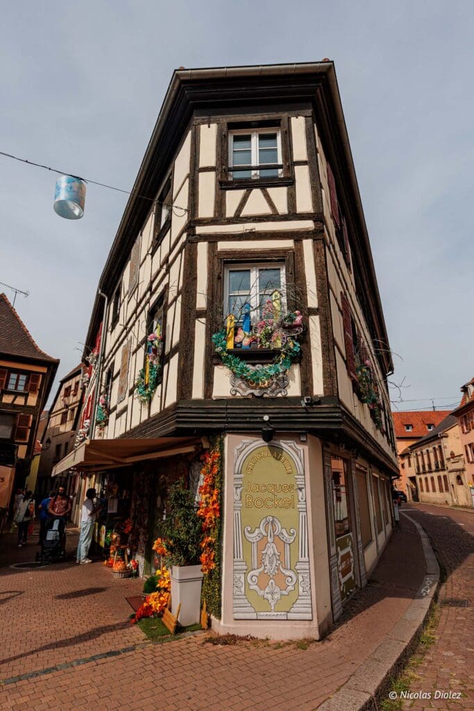 Obernai DR Nicolas Diolez 2024 25