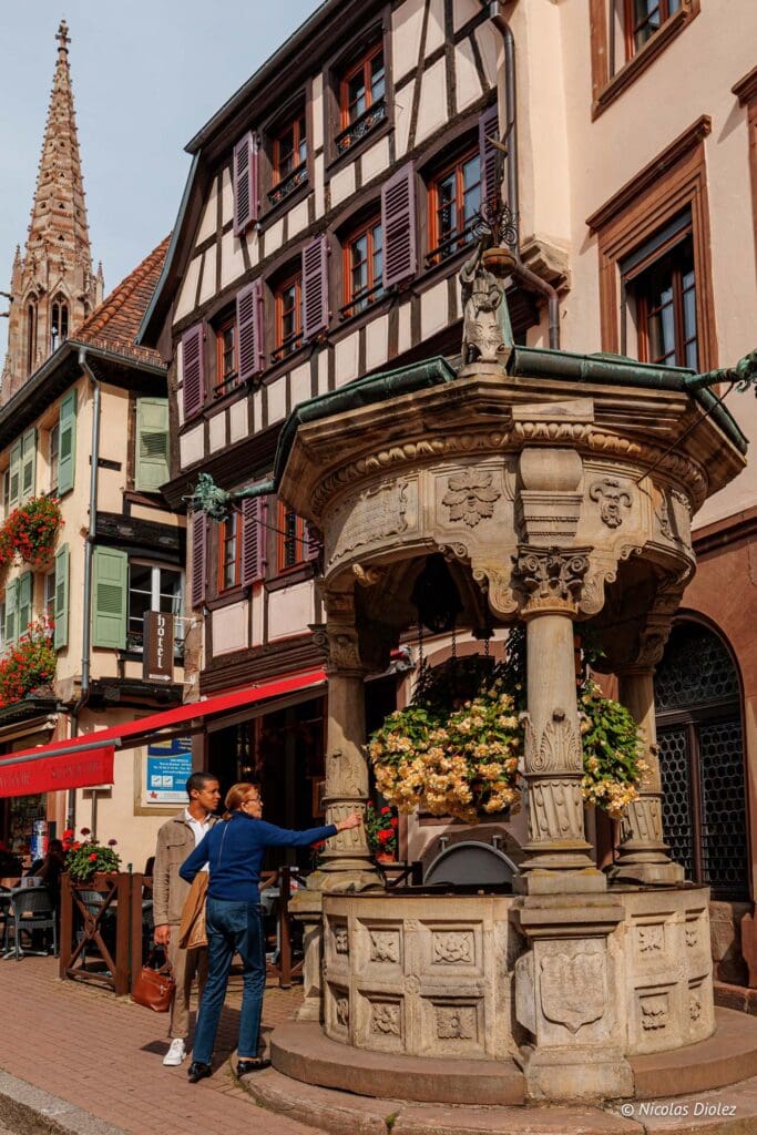 Obernai DR Nicolas Diolez 2024 26
