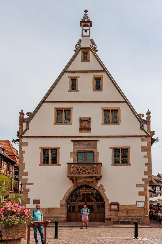 Obernai DR Nicolas Diolez 2024 4