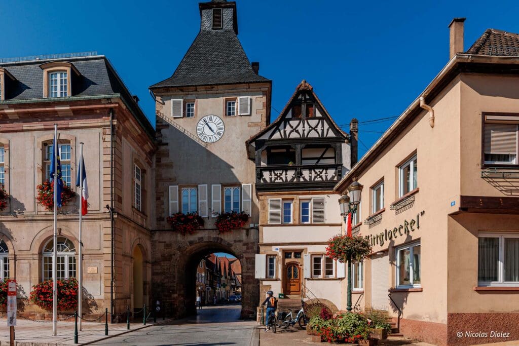 Rosheim DR Nicolas Diolez 2024 6