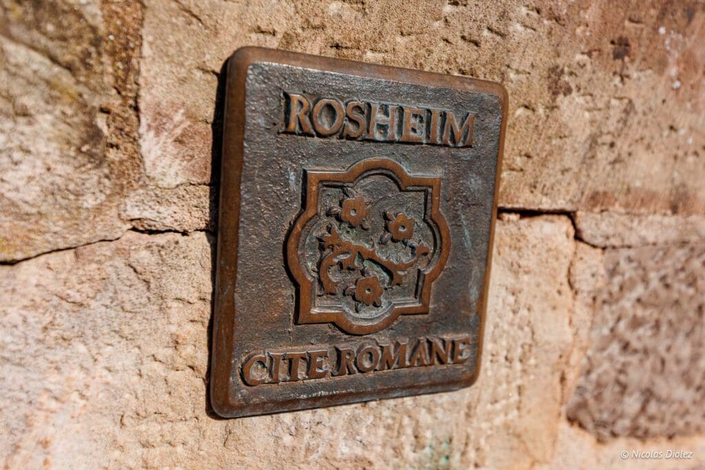 Rosheim DR Nicolas Diolez 2024 9