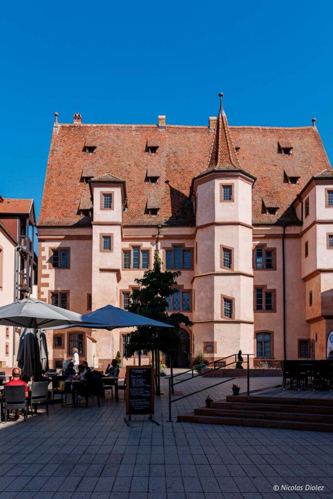 Selestat DR Nicolas Diolez 2024 12