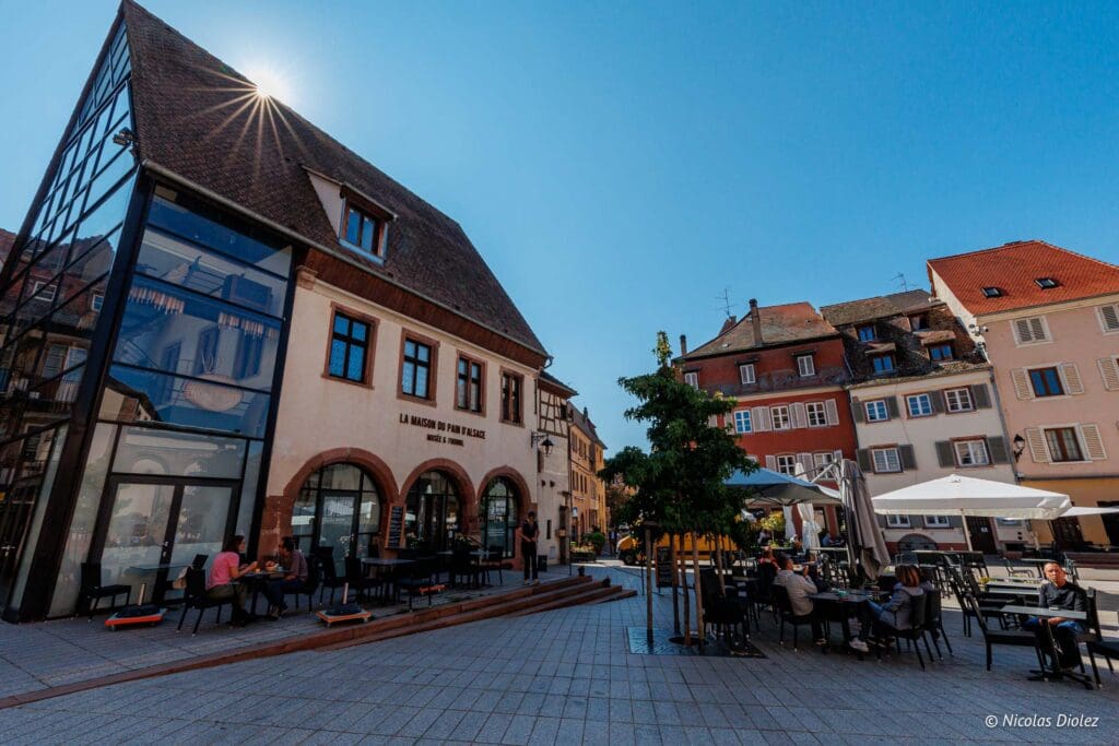 Selestat DR Nicolas Diolez 2024 13