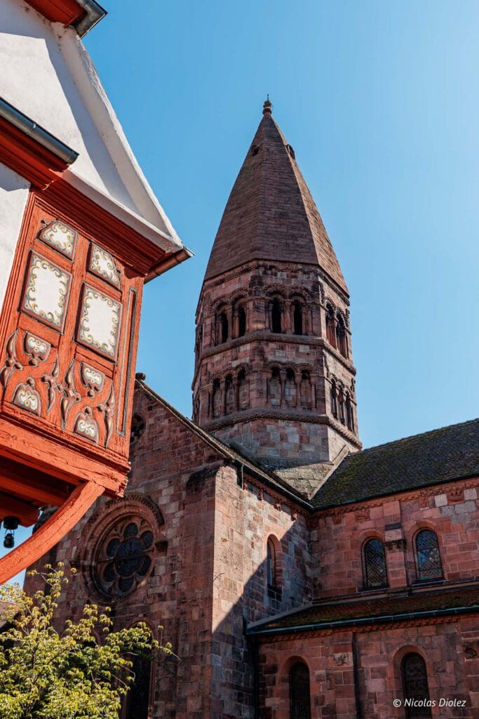 Selestat DR Nicolas Diolez 2024 15