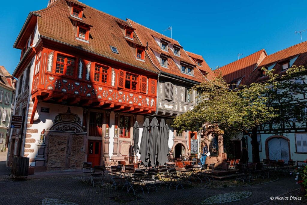 Selestat DR Nicolas Diolez 2024 16