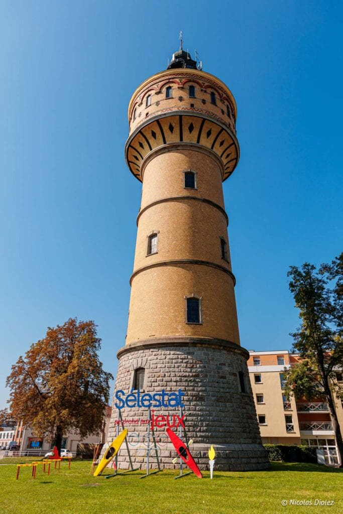Selestat DR Nicolas Diolez 2024 2