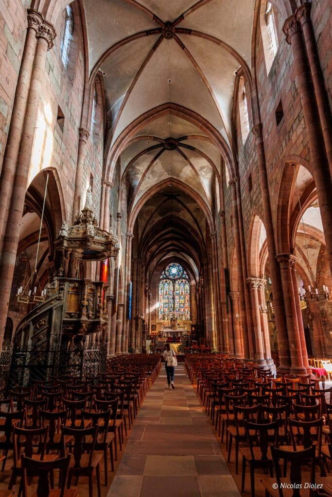 Selestat DR Nicolas Diolez 2024 31