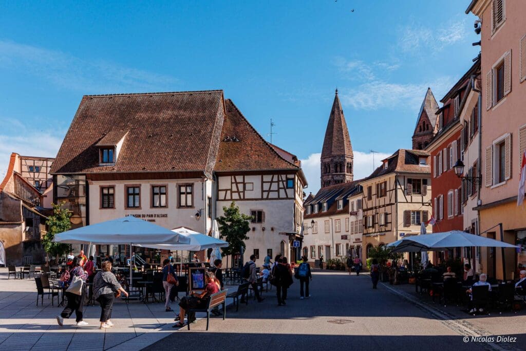 Selestat DR Nicolas Diolez 2024 35