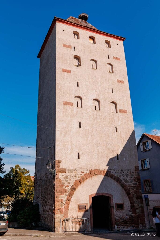 Selestat DR Nicolas Diolez 2024 37