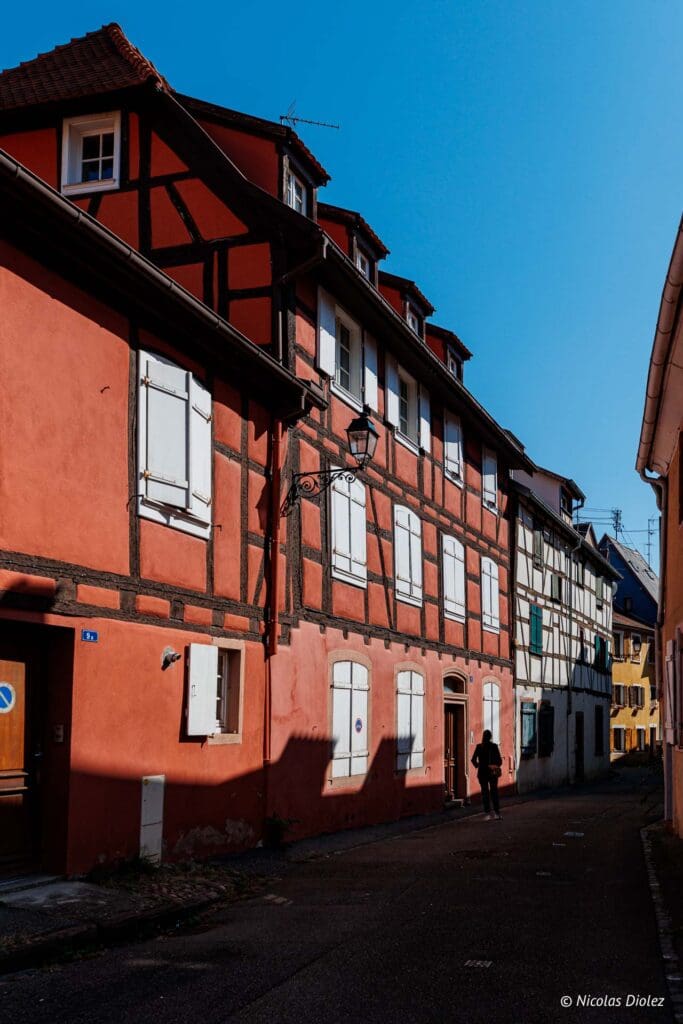 Selestat DR Nicolas Diolez 2024 6