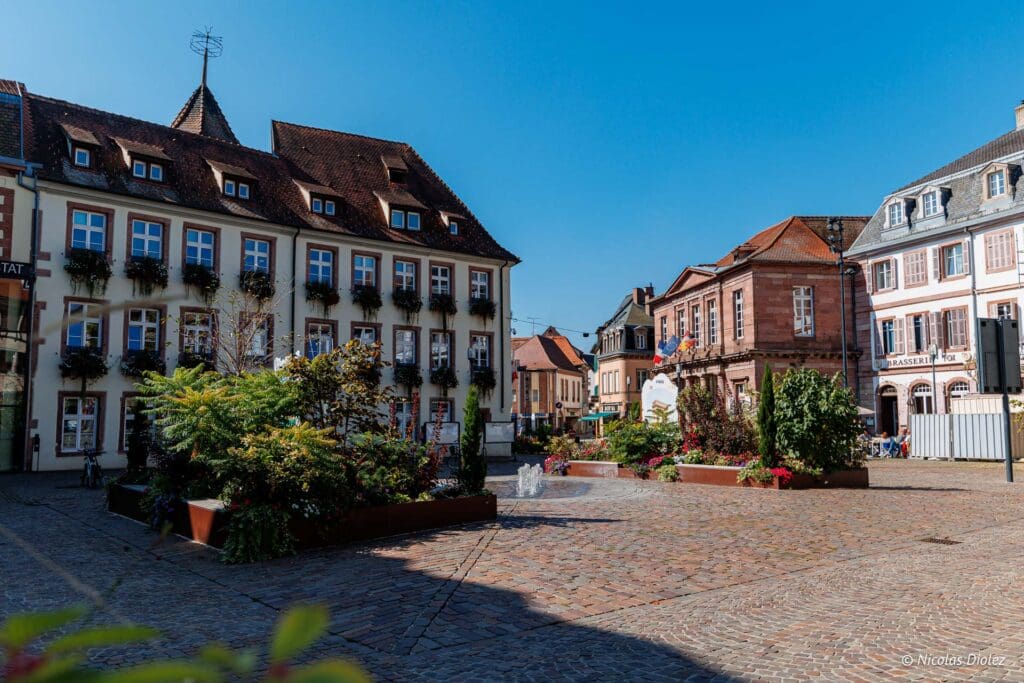 Selestat DR Nicolas Diolez 2024 9