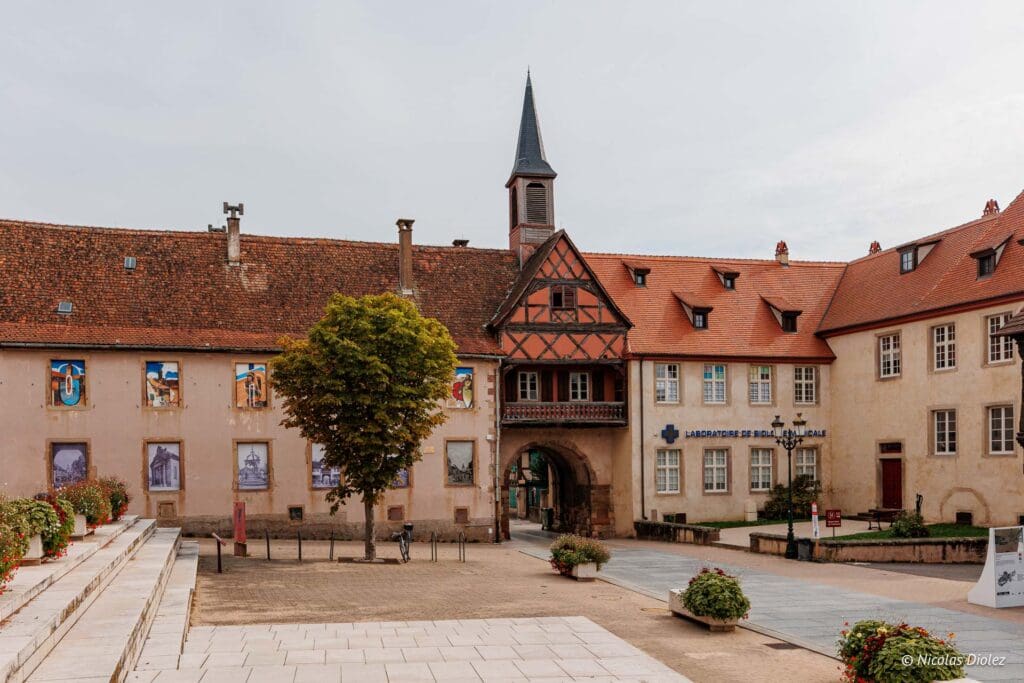 St Odile Rosheim velo DR Nicolas Diolez 2024 22