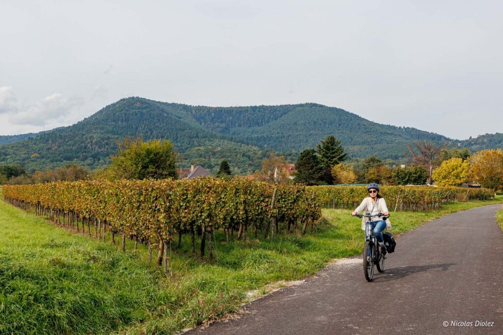 St Odile Rosheim velo DR Nicolas Diolez 2024 8