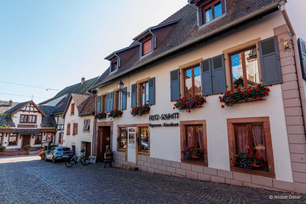 Velo Rosheim Mont St Odile DR Nicolas Diolez 2024 15
