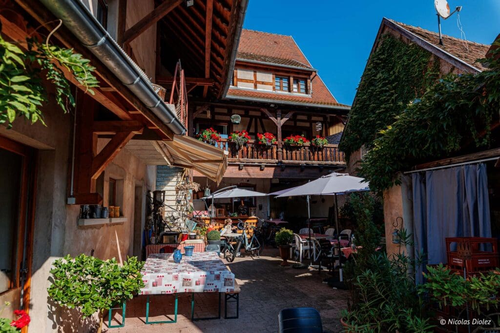 Velo Rosheim Mont St Odile DR Nicolas Diolez 2024 19