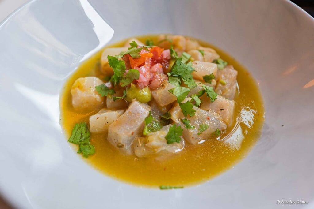 Bombarde Paris DR Nicolas Diolez 2025 13