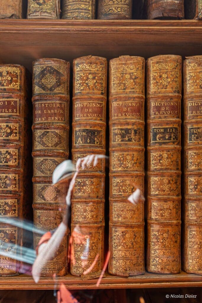 Musee Alfred Canel DR Nicolas Diolez 2025 4