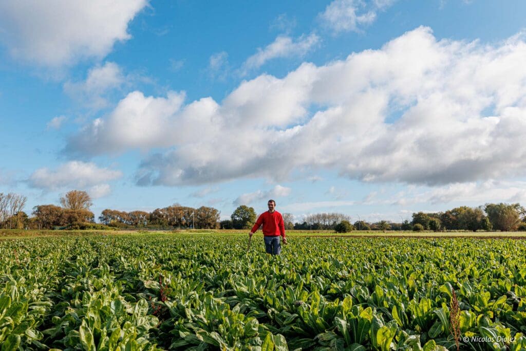 Thomas Cools farm DR Nicolas Diolez 2024 14