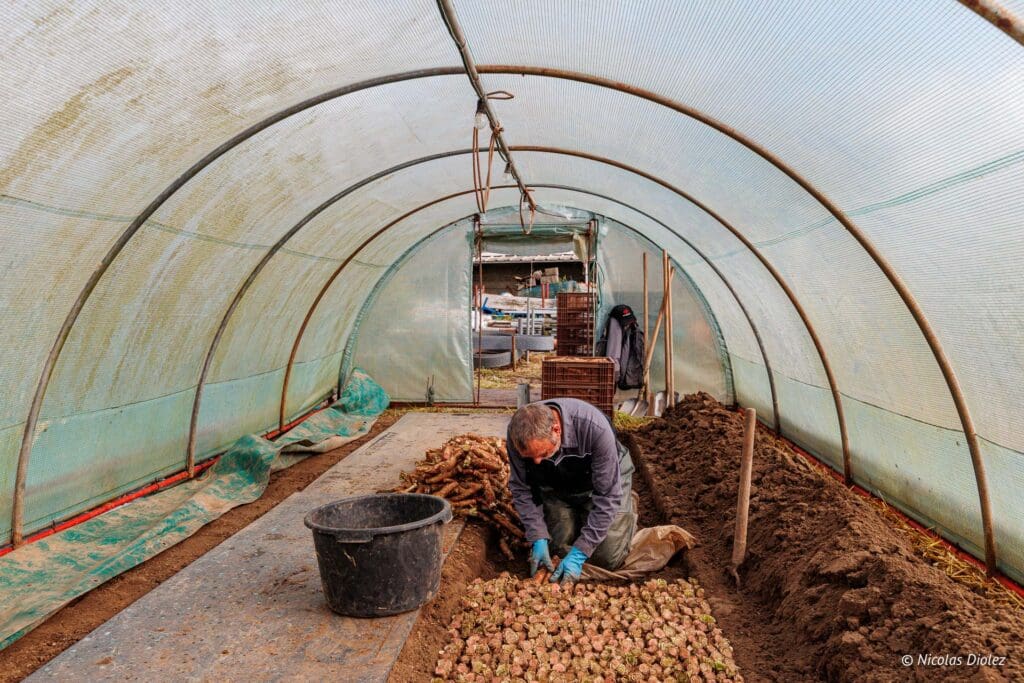 Thomas Cools farm DR Nicolas Diolez 2024 27