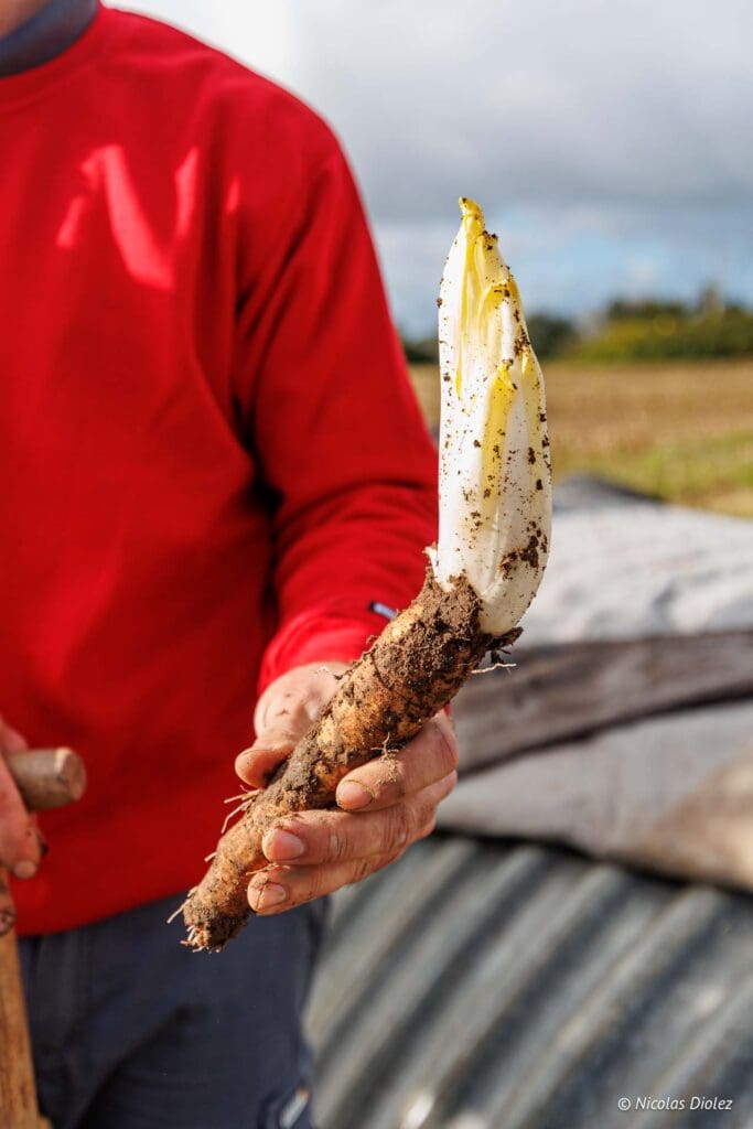 Thomas Cools farm DR Nicolas Diolez 2024 29