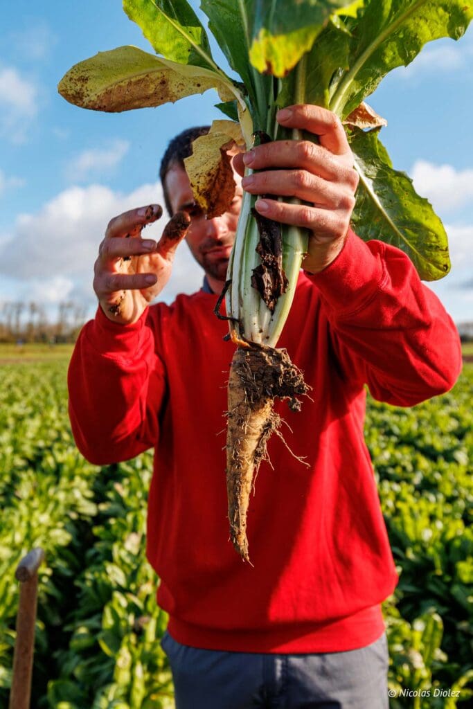 Thomas Cools farm DR Nicolas Diolez 2024 7