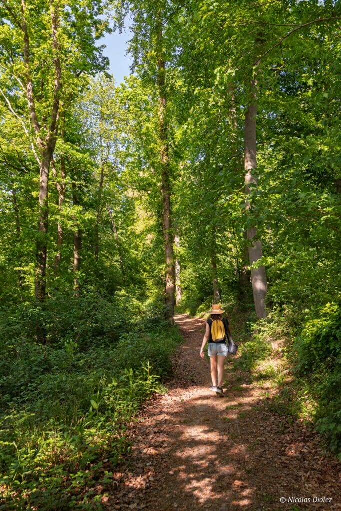 Chemin des Sources bleues DR Nicolas Diolez 2025 25
