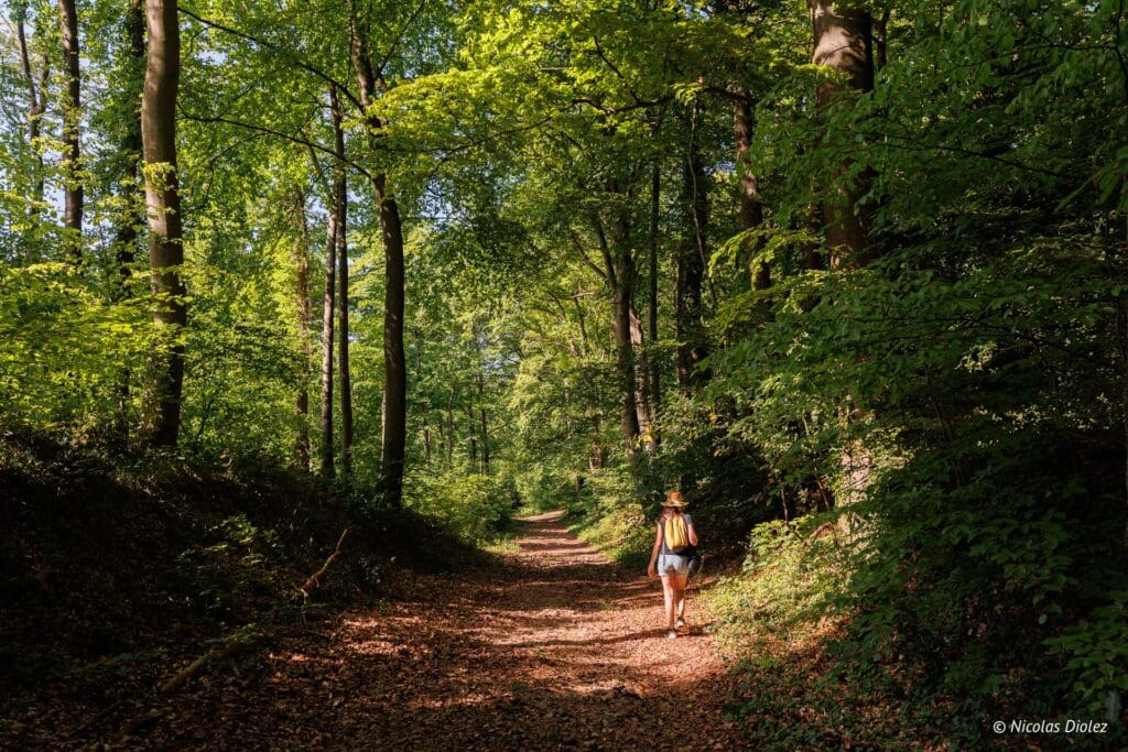 Chemin des Sources bleues DR Nicolas Diolez 2025 26