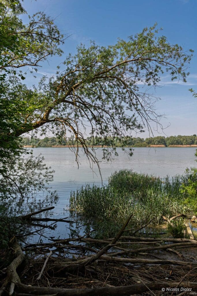 Chemin des Sources bleues DR Nicolas Diolez 2025 7