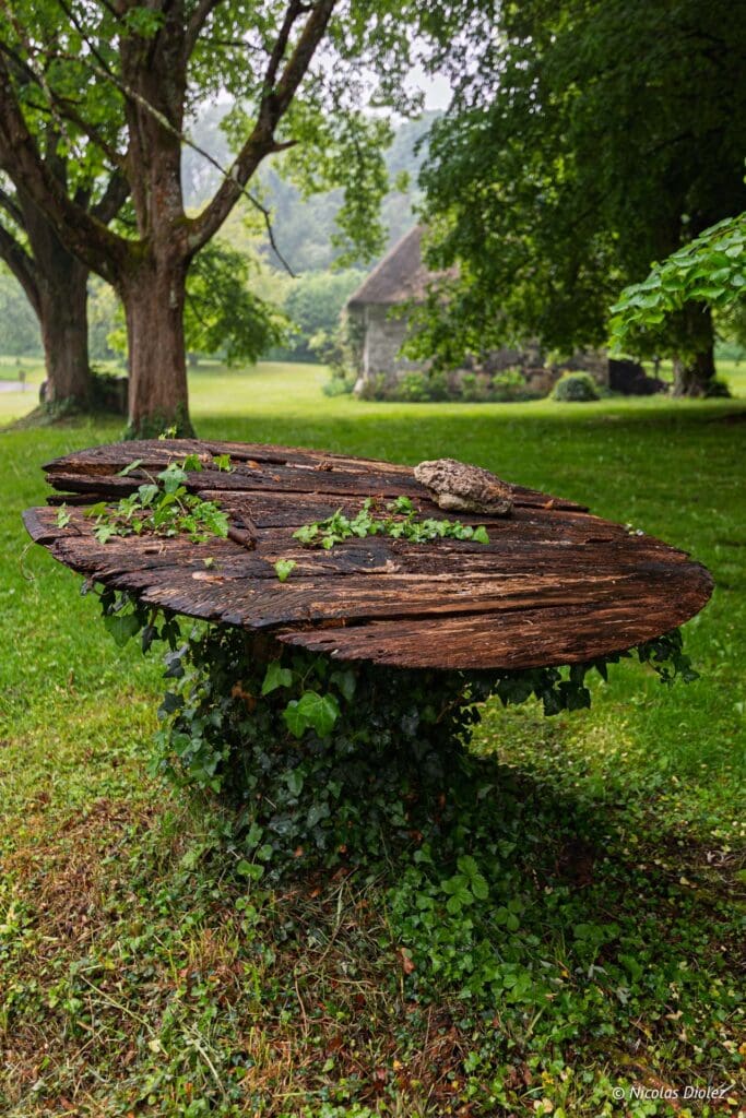 Fatouville Grestain DR Nicolas Diolez 2025 16