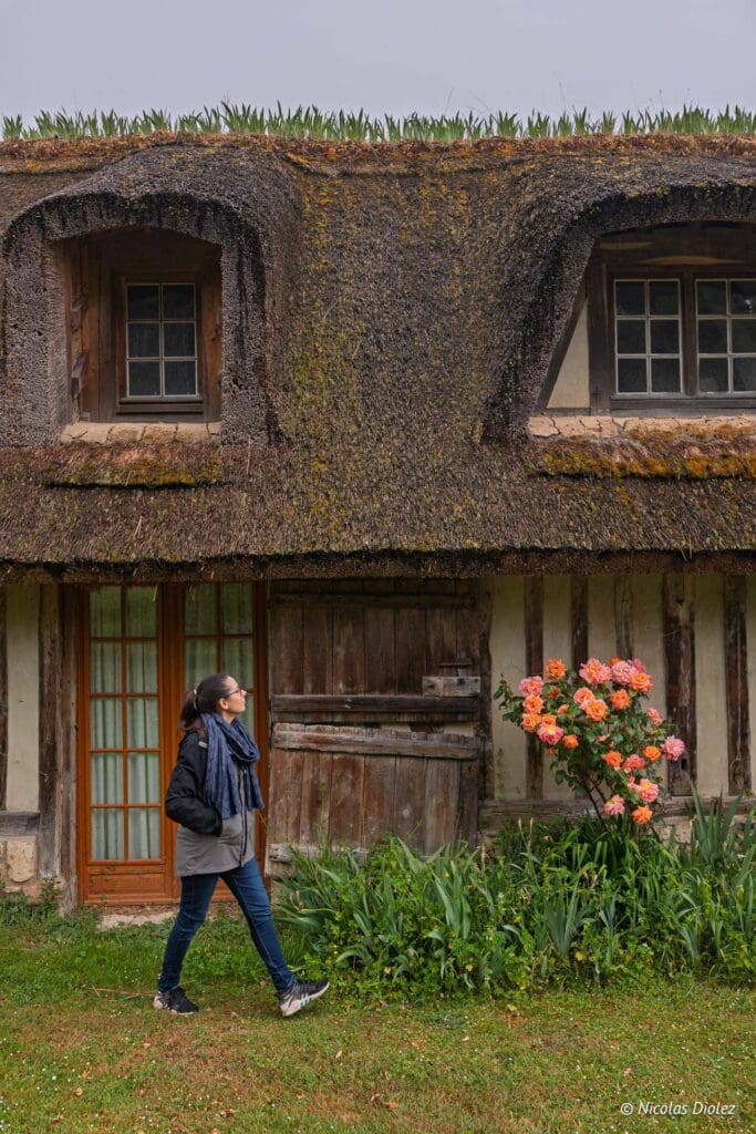 Fatouville Grestain DR Nicolas Diolez 2025 21