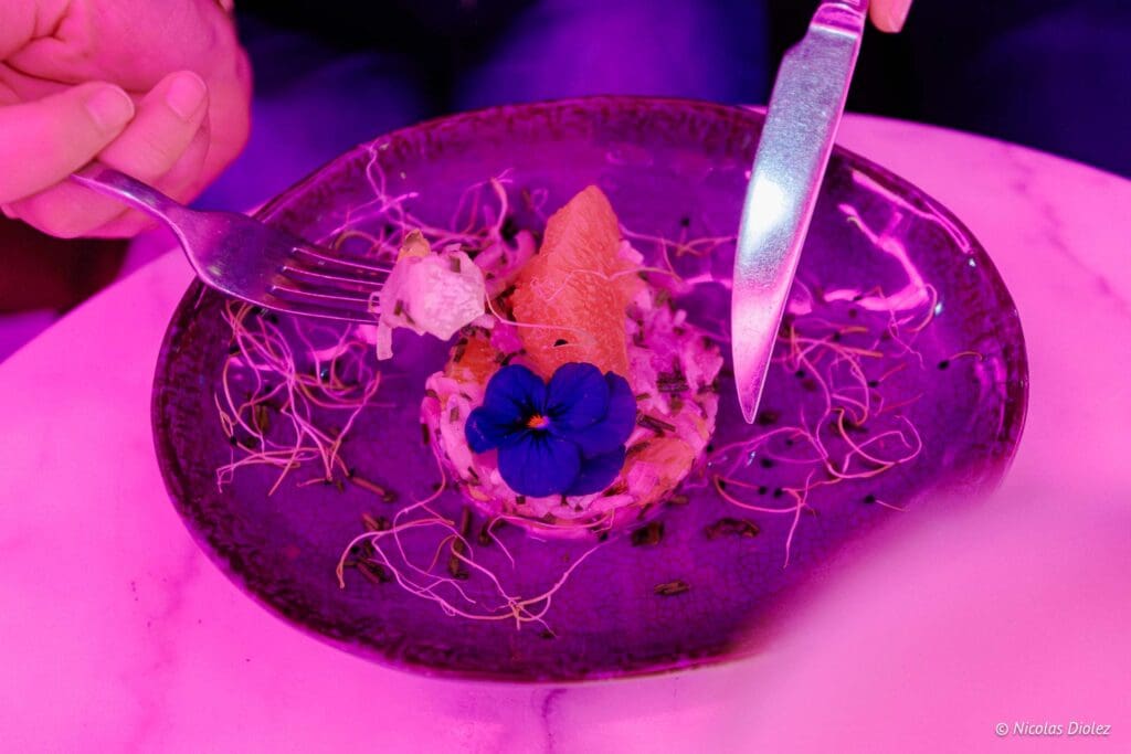 La Baraque Paris DR Nicolas Diolez 2025 13