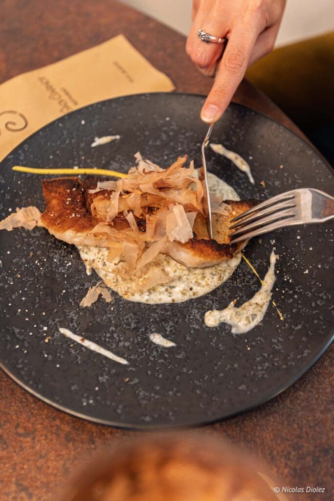 Le Sadi Carnot DR Nicolas Diolez 2025 7