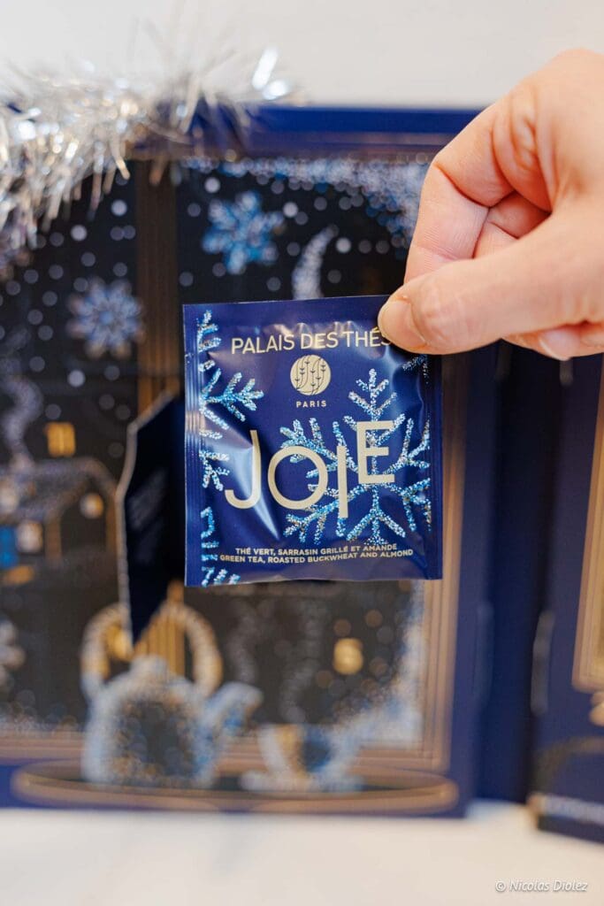 Palais des Thes Noel 2025 DR Nicolas Diolez 2025 17