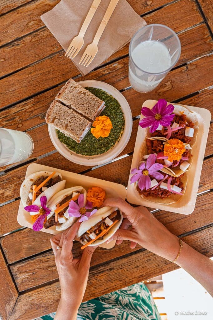 Plantation Paris DR Nicolas Diolez 2025 13