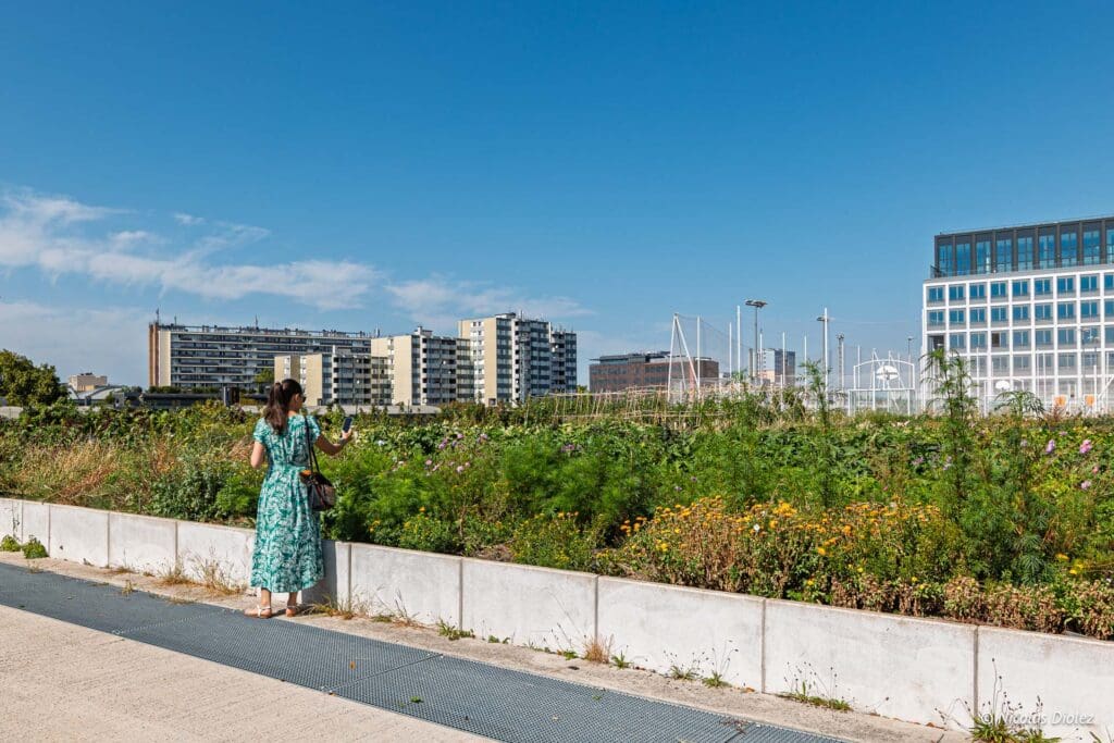 Plantation Paris DR Nicolas Diolez 2025 27