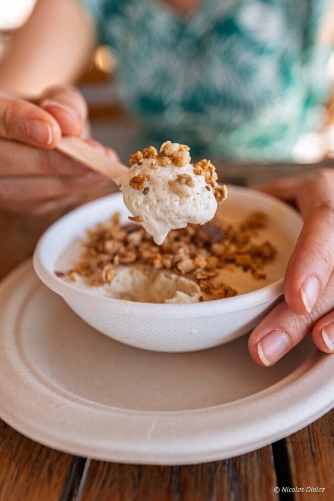 Plantation Paris DR Nicolas Diolez 2025 38