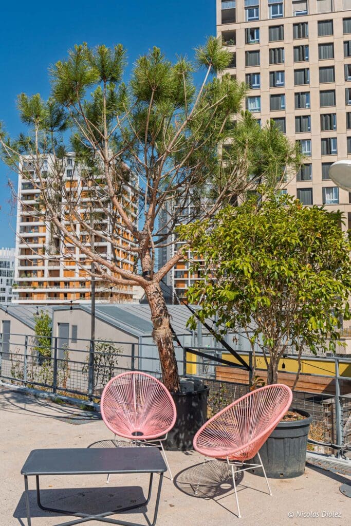 Plantation Paris DR Nicolas Diolez 2025 40