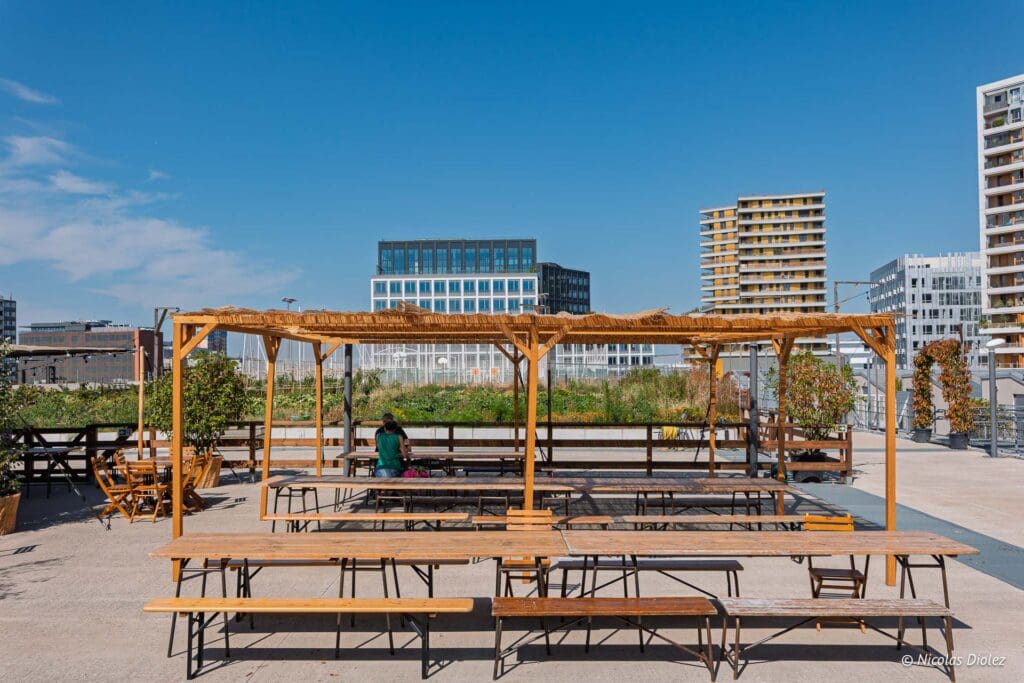 Plantation Paris DR Nicolas Diolez 2025 42