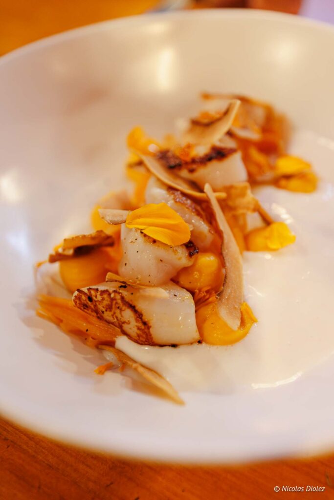 Alegrias DR Nicolas Diolez 2025 11