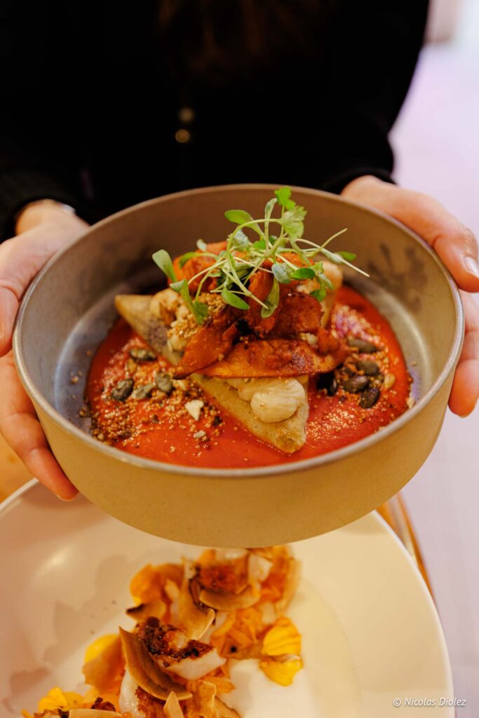 Alegrias DR Nicolas Diolez 2025 13