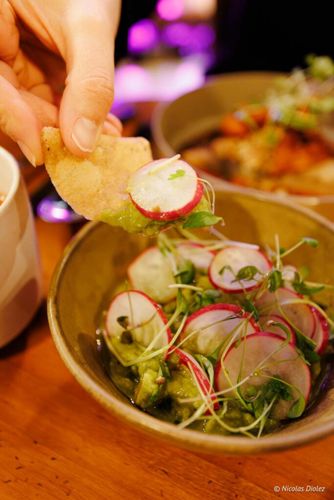 Alegrias DR Nicolas Diolez 2025 19