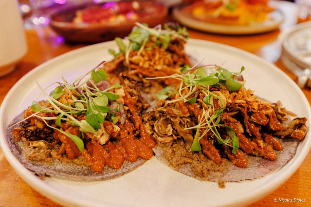 Alegrias DR Nicolas Diolez 2025 30