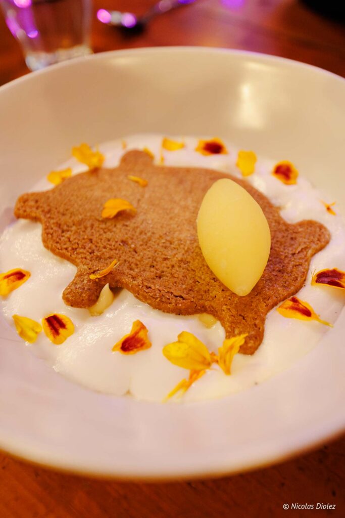 Alegrias DR Nicolas Diolez 2025 31