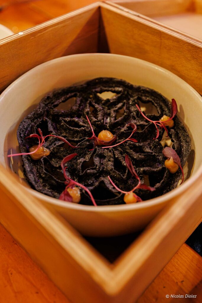 Alegrias DR Nicolas Diolez 2025 32